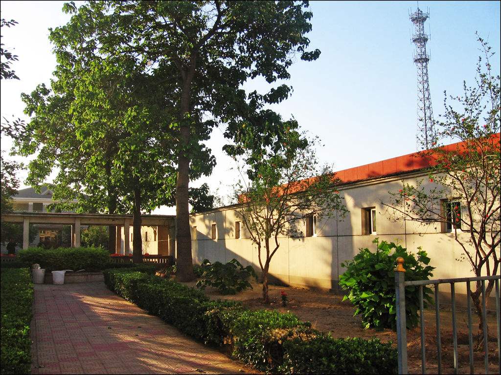 ����ĳ�B(y��ng)��Ժ�����z�y(c��)